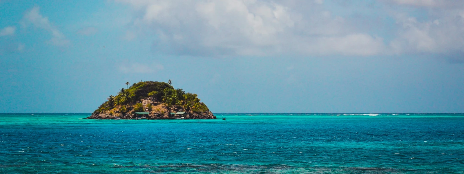 Five Beans Colombia (6)